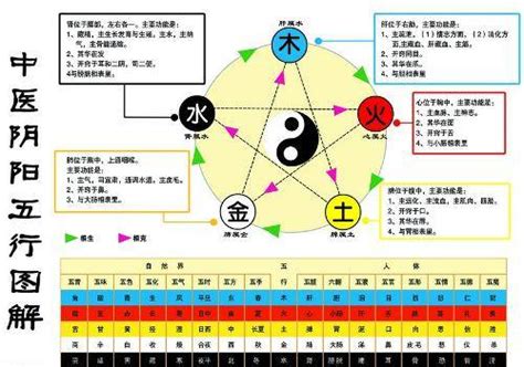 金生水原理|五行中為什麼是金生水？